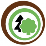 Bildschirmfoto 2025-03-22 um 00.48.35